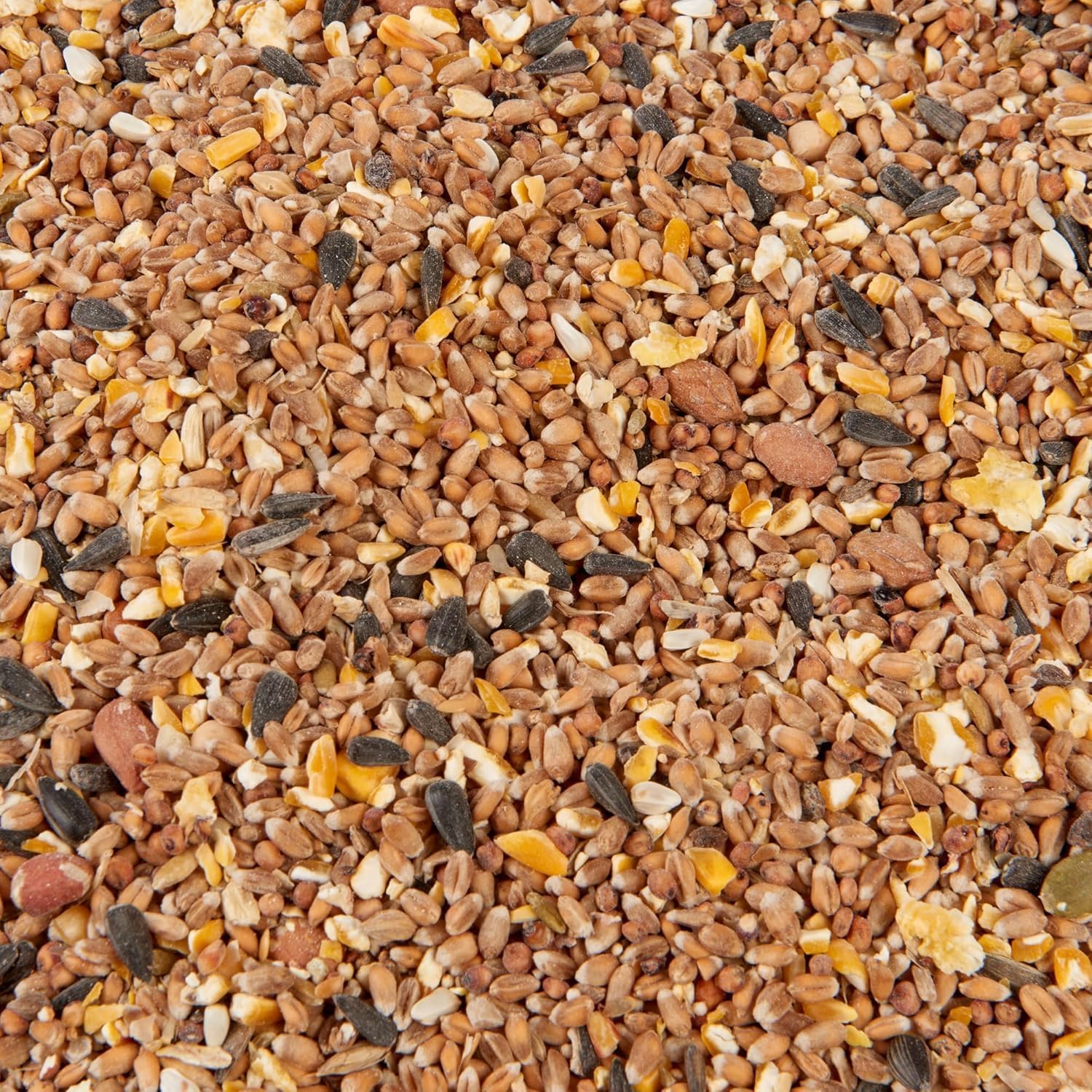 Wild Bird Mix
