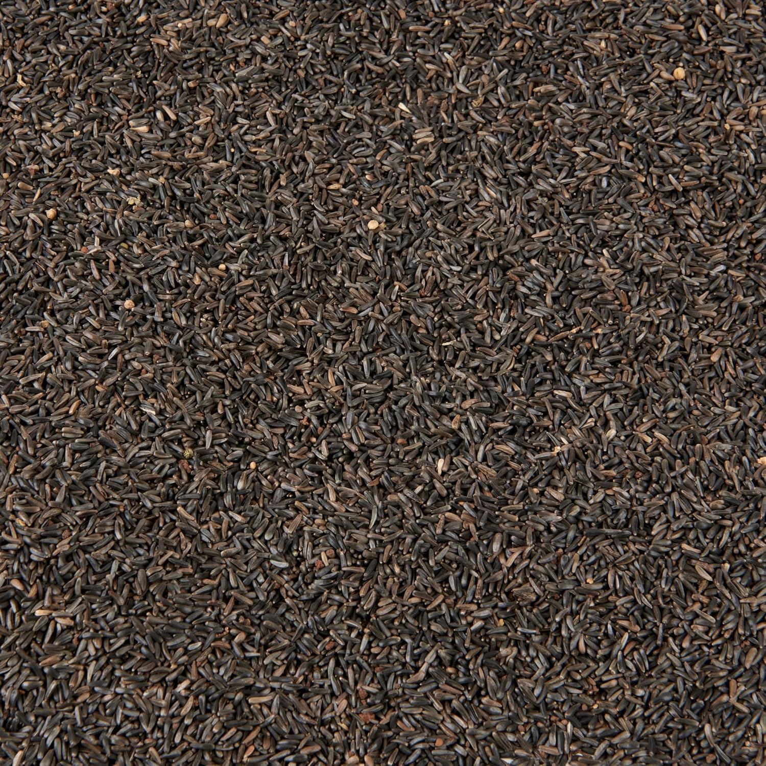 Niger Seed