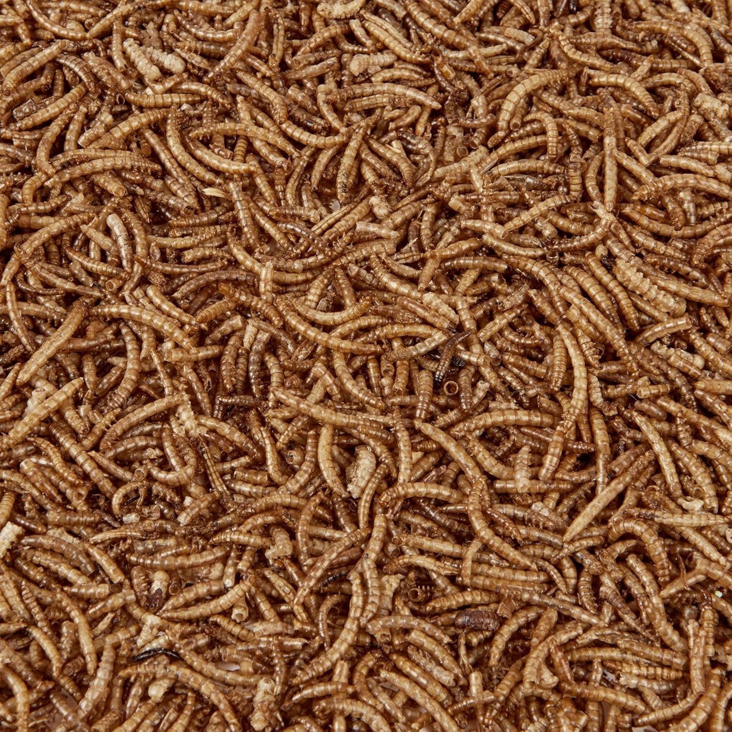 Hungry Wings Dried Mealworms 500g