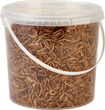 Hungry Wings Dried Mealworms 2.5L Tub