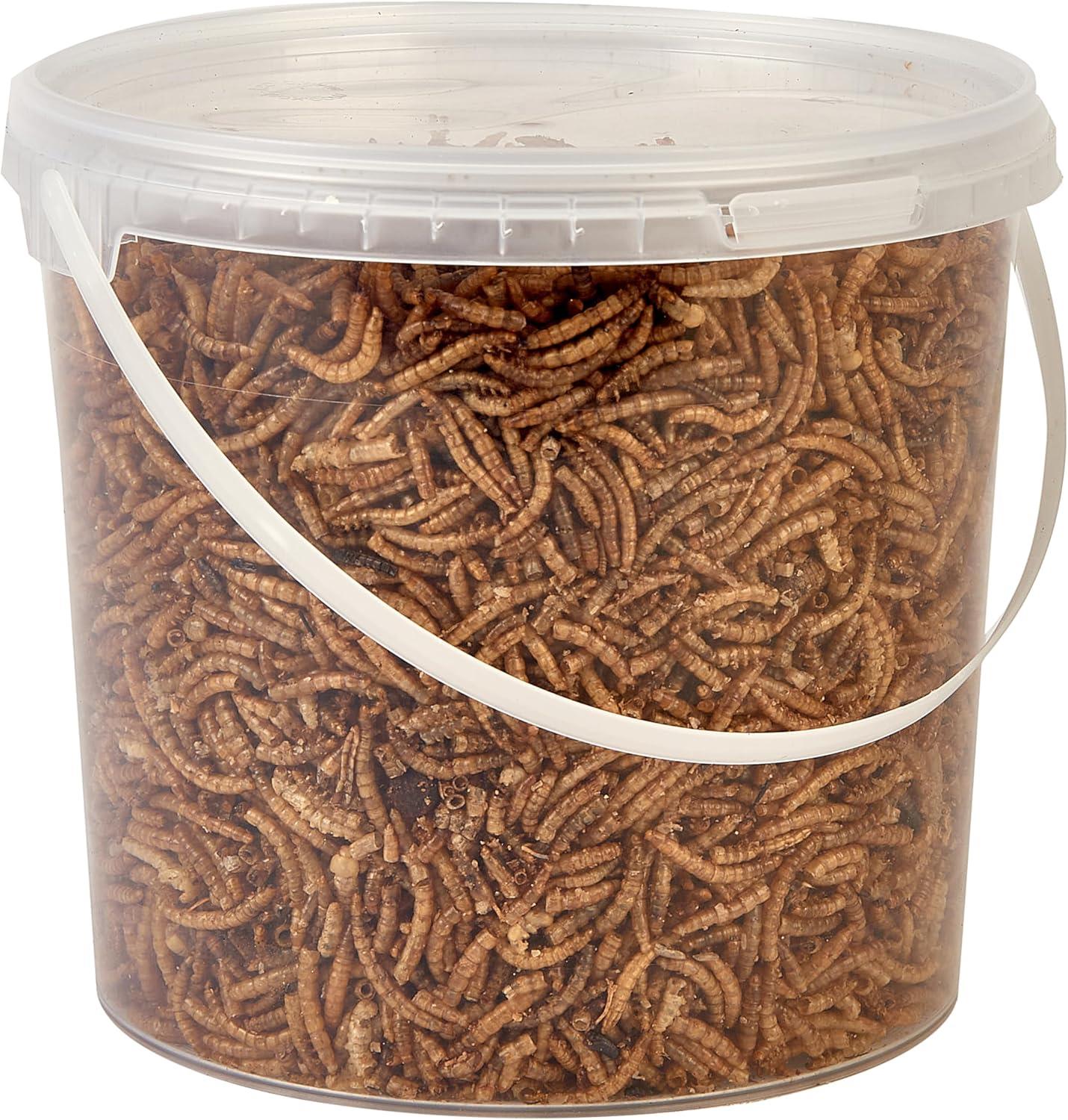 Hungry Wings Dried Mealworms 2.5L Tub