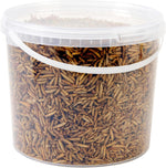 Hungry Wings Calci Worms 5L Tub