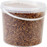 Hungry Wings Dried Mealworms 5L Tub