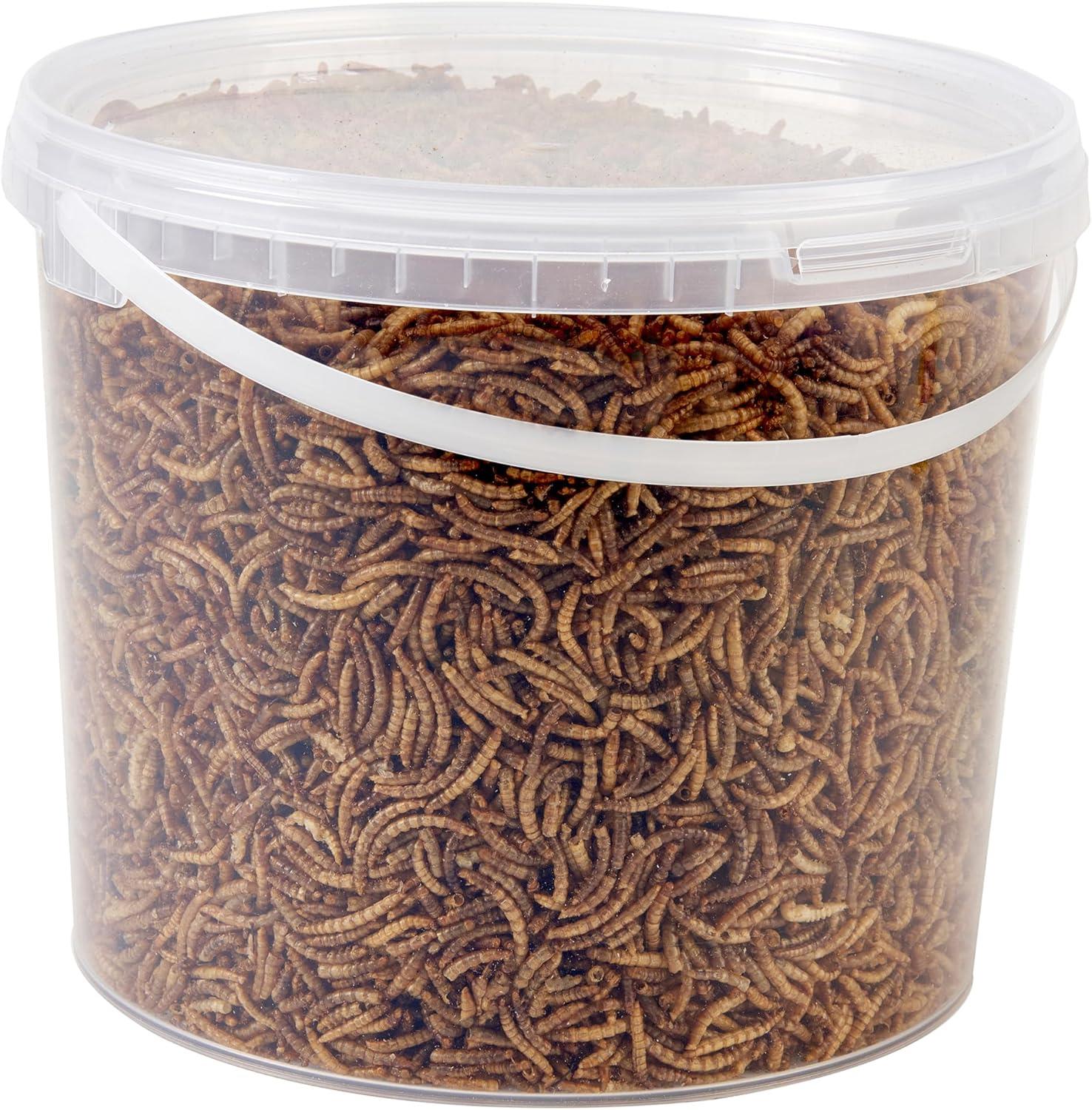 Hungry Wings Dried Mealworms 5L Tub