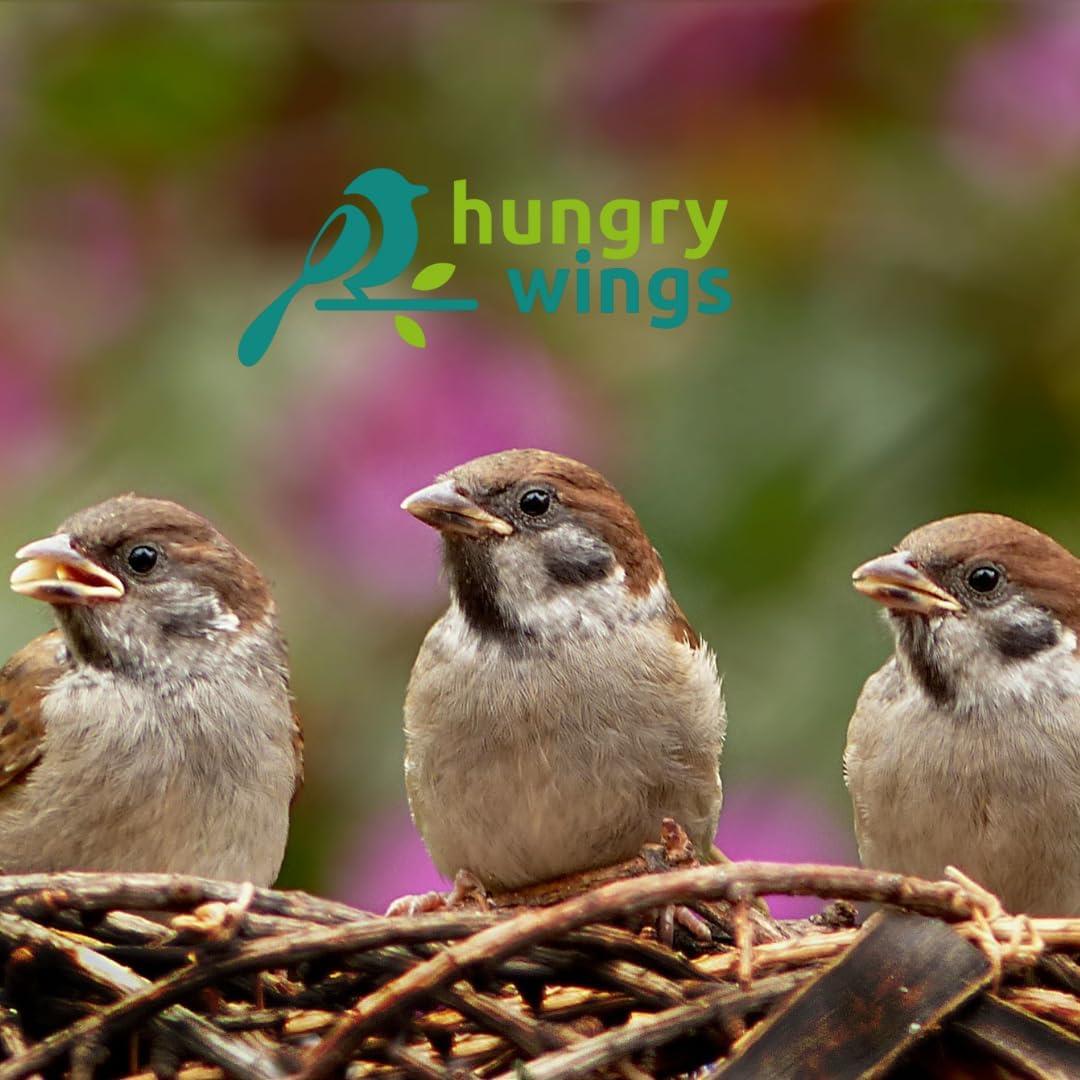 Hungry Wings Mixed Suet Pellets 1kg