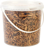 Hungry Wings Calci Worms 2.5L Tub
