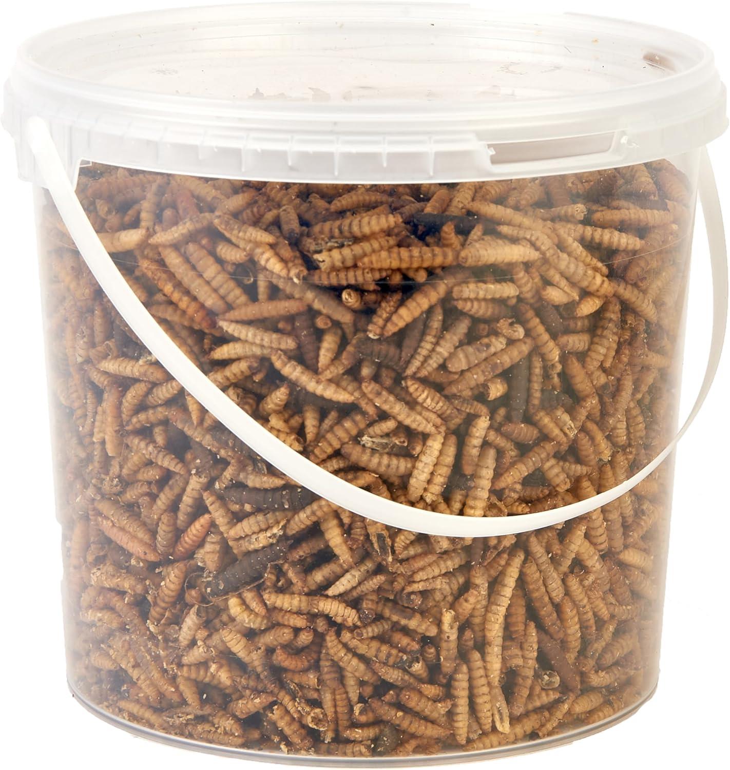 Hungry Wings Calci Worms 2.5L Tub