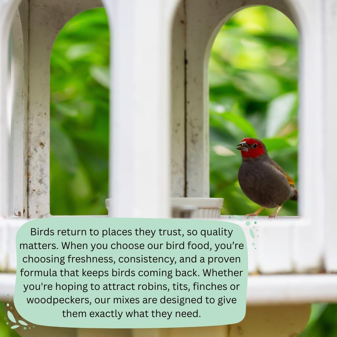 Hungry Wings Calci Worms 250g