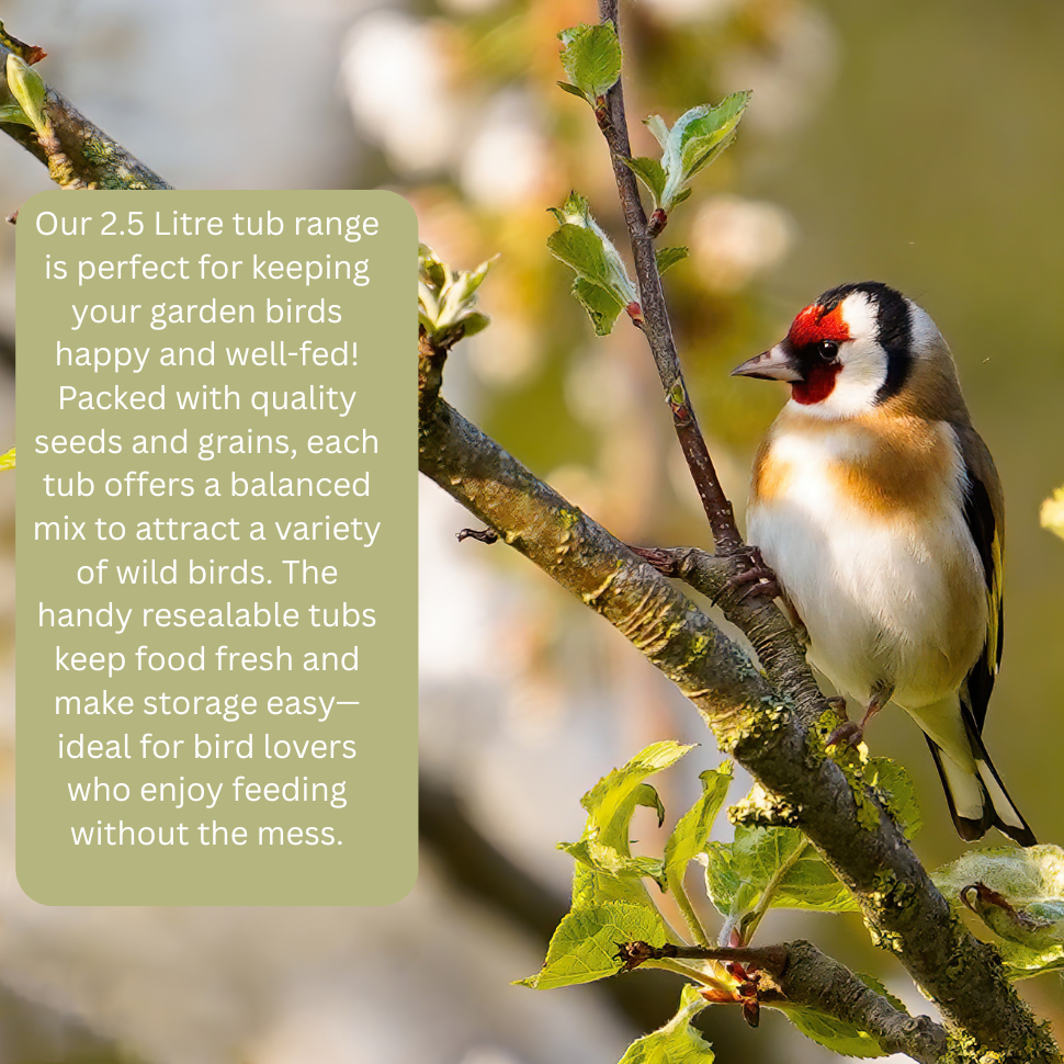 Hungry Wings Peanut Kernels – 2.5L Tub