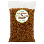 Hungry Wings Dried Mealworms 2.5L Refill