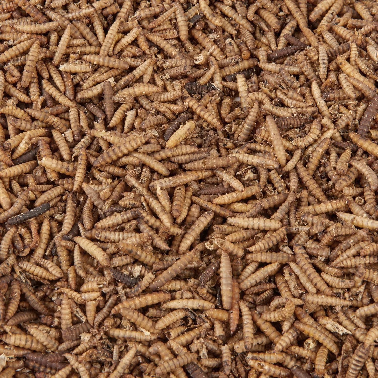 Hungry Wings Calci Worms 1kg