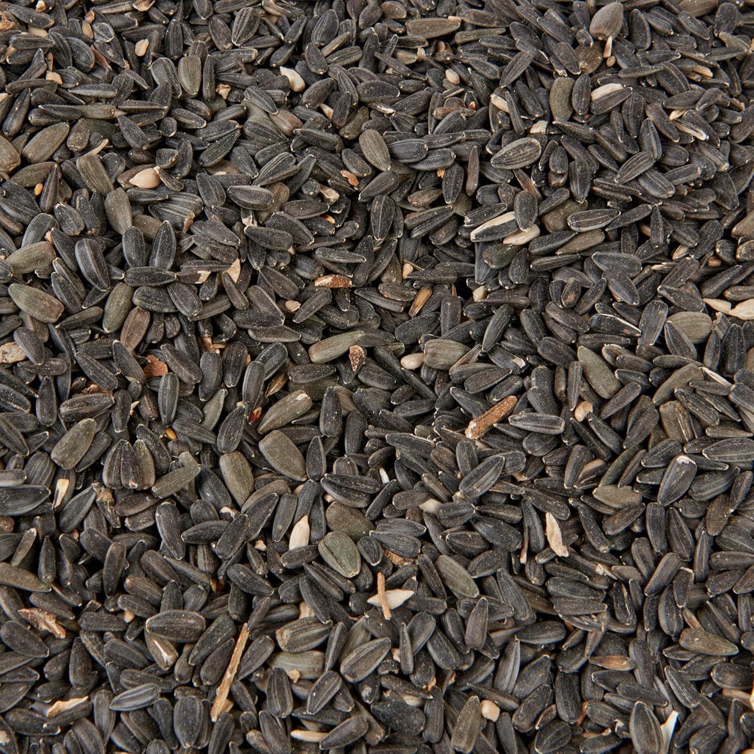 Hungry Wings Black Sunflower Seeds 1kg