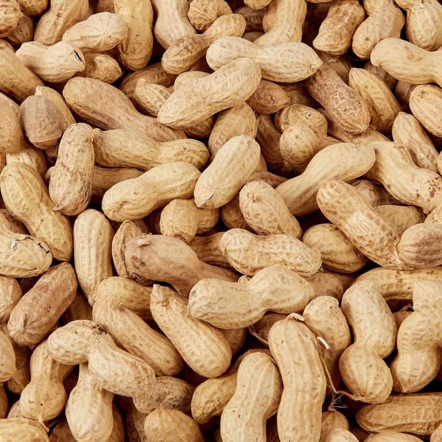 Hungry Wings Peanuts in Shell 1kg