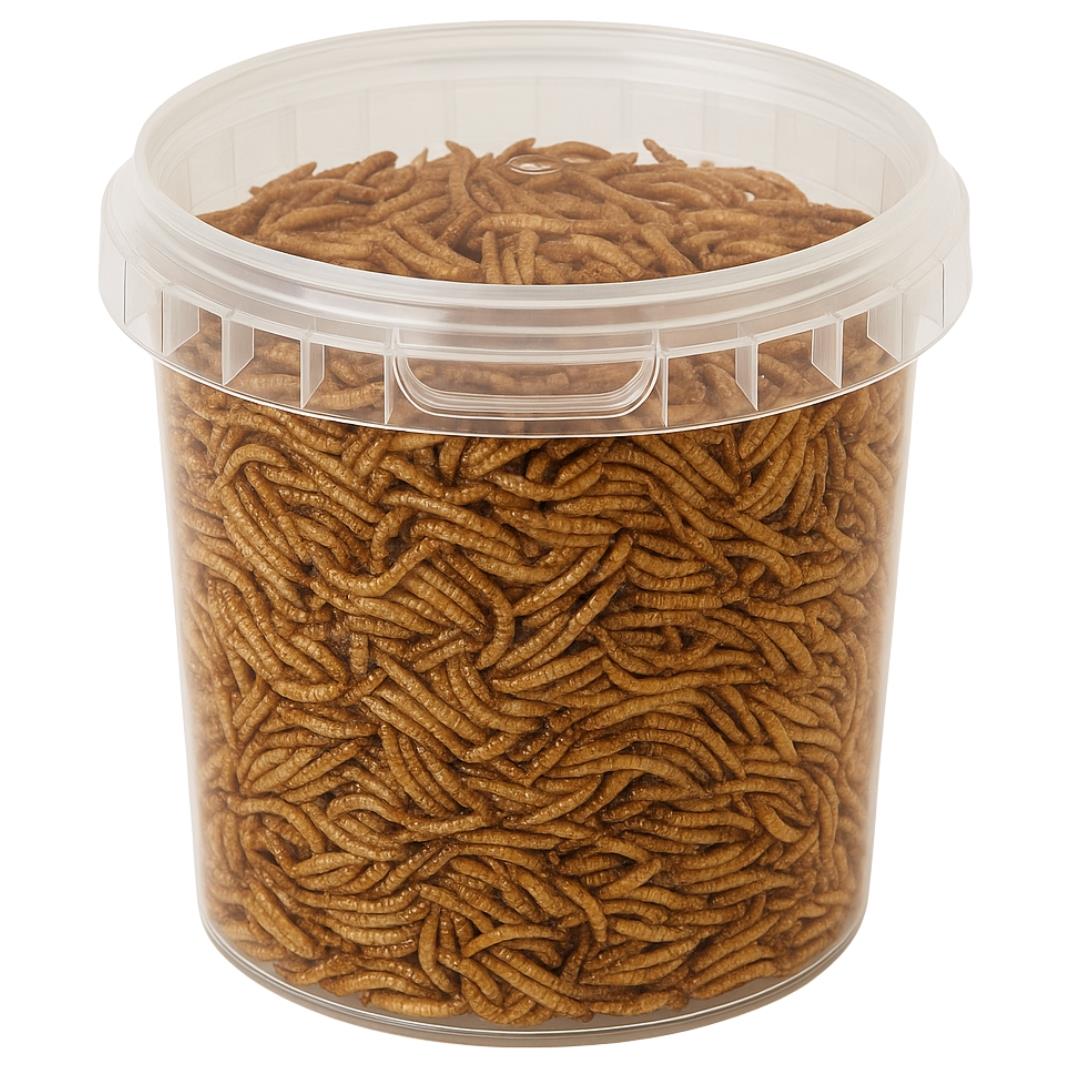 Hungry Wings Dried Mealworms 1L Tub
