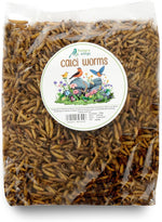 Hungry Wings Calci Worms 250g