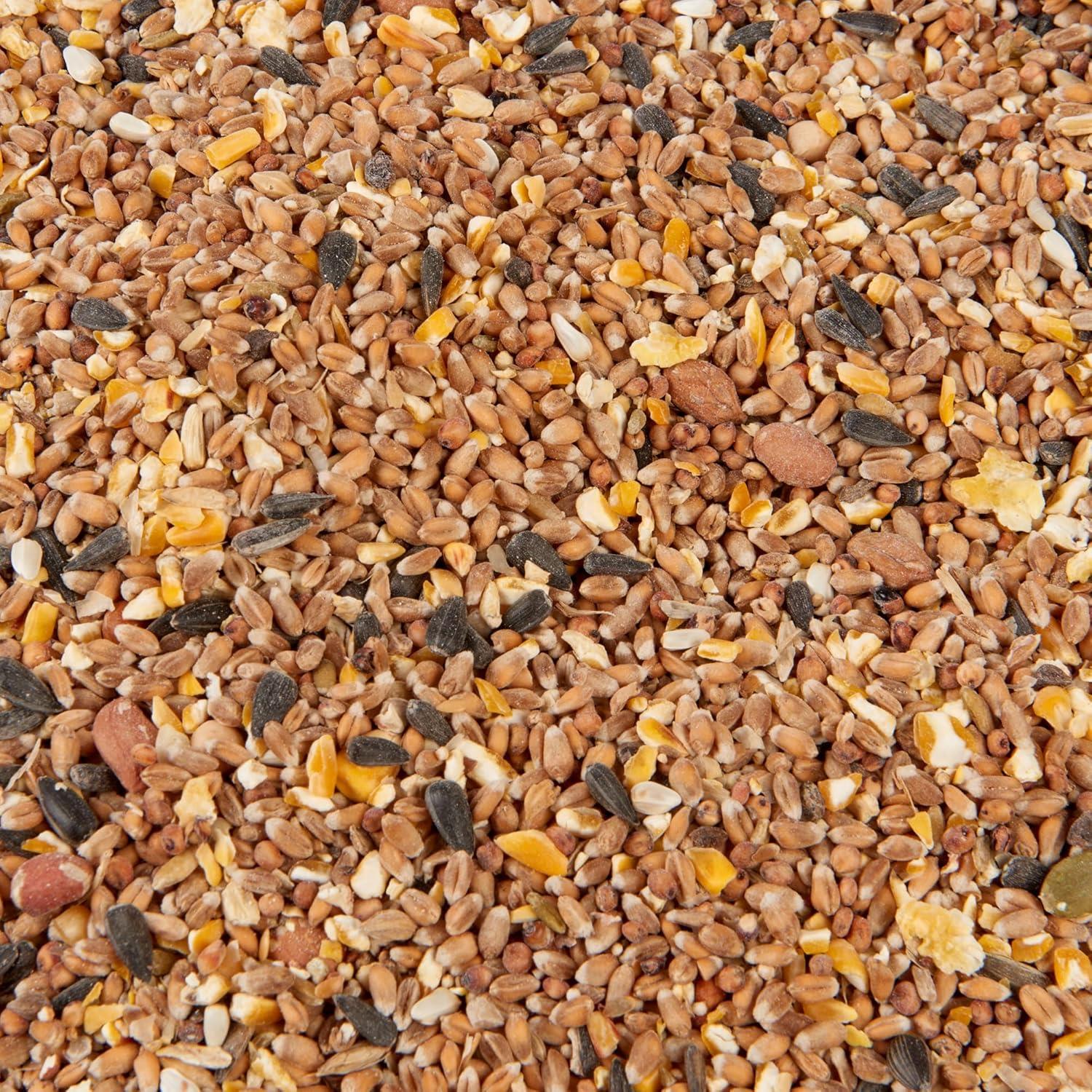 Hungry Wings Wild Bird Mix – 5L Bag