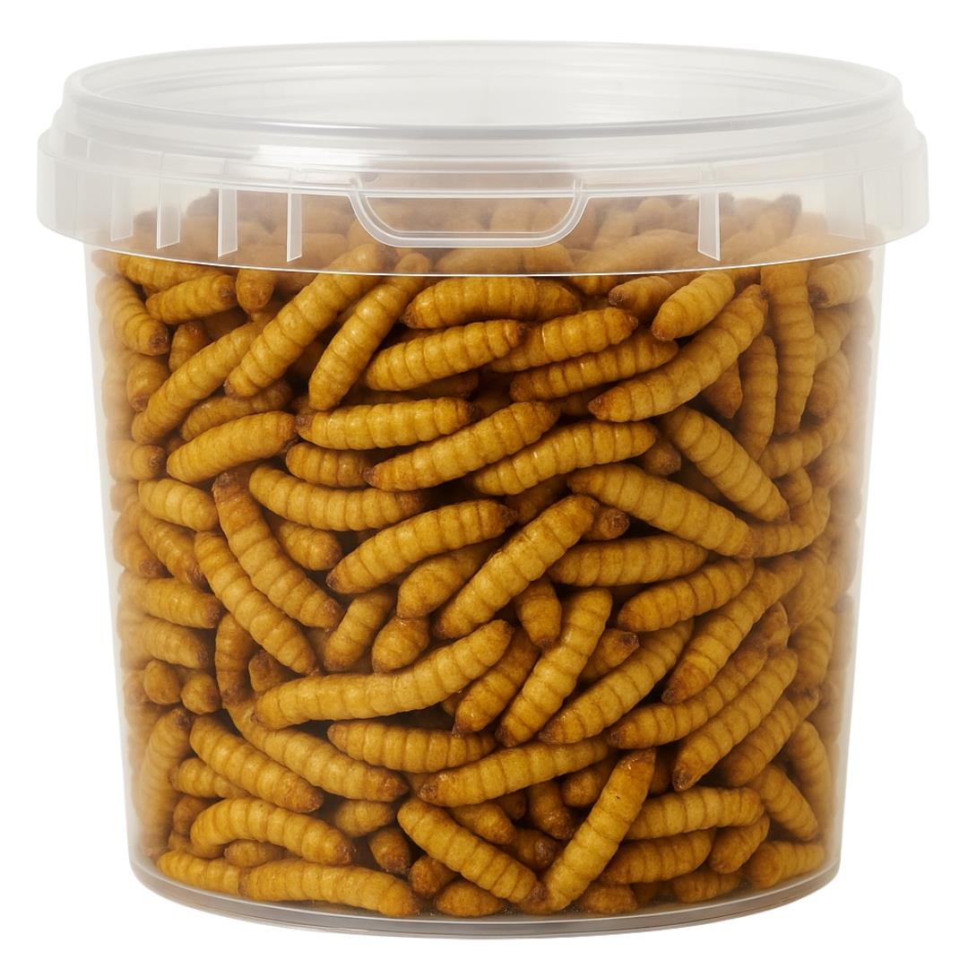 Hungry Wings Calci Worms 1L Tub