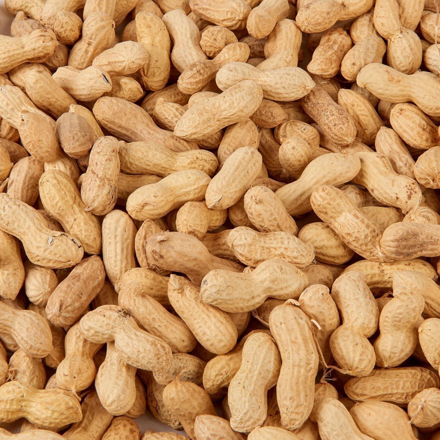 Hungry Wings Peanuts in Shell 2.5L Tub