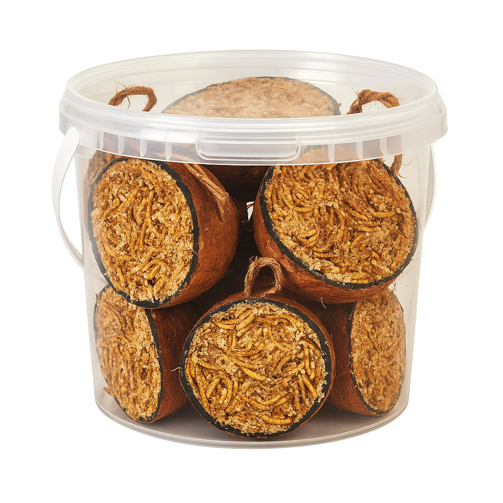 Hungry Wings Mealworm Coconut Halves Tub of 6